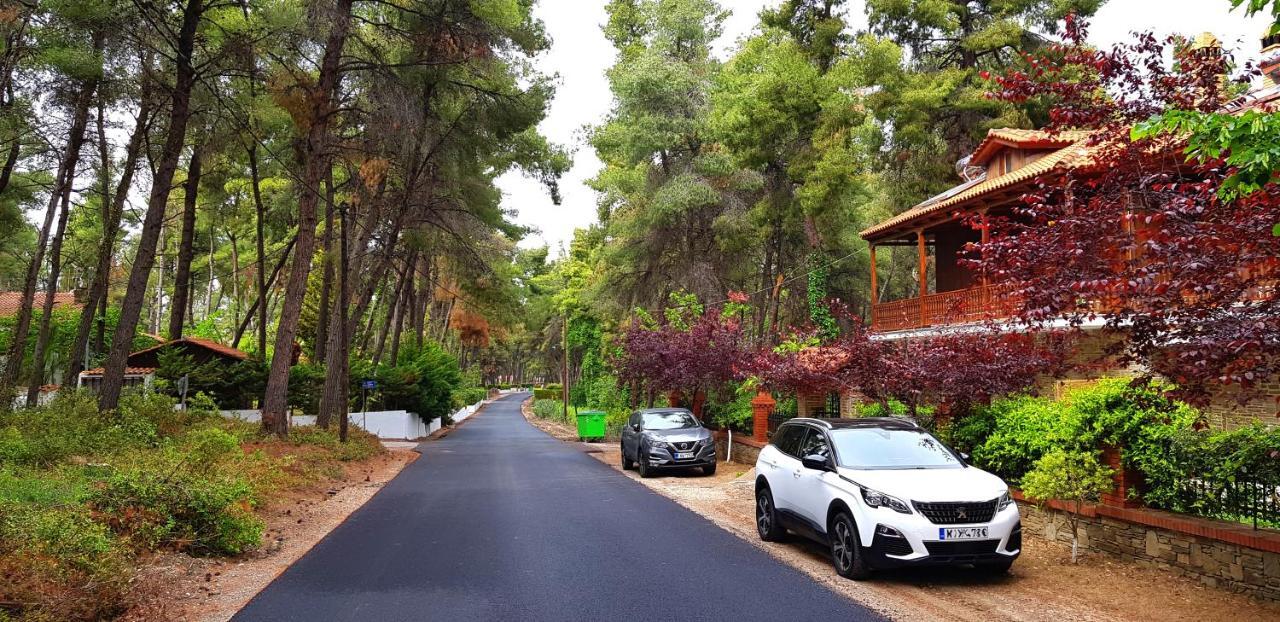 Wood And Stone Villa Sani  エクステリア 写真